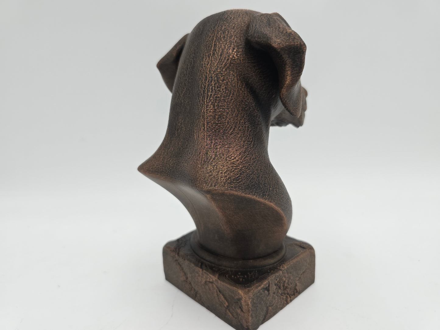 Dalmation Bust