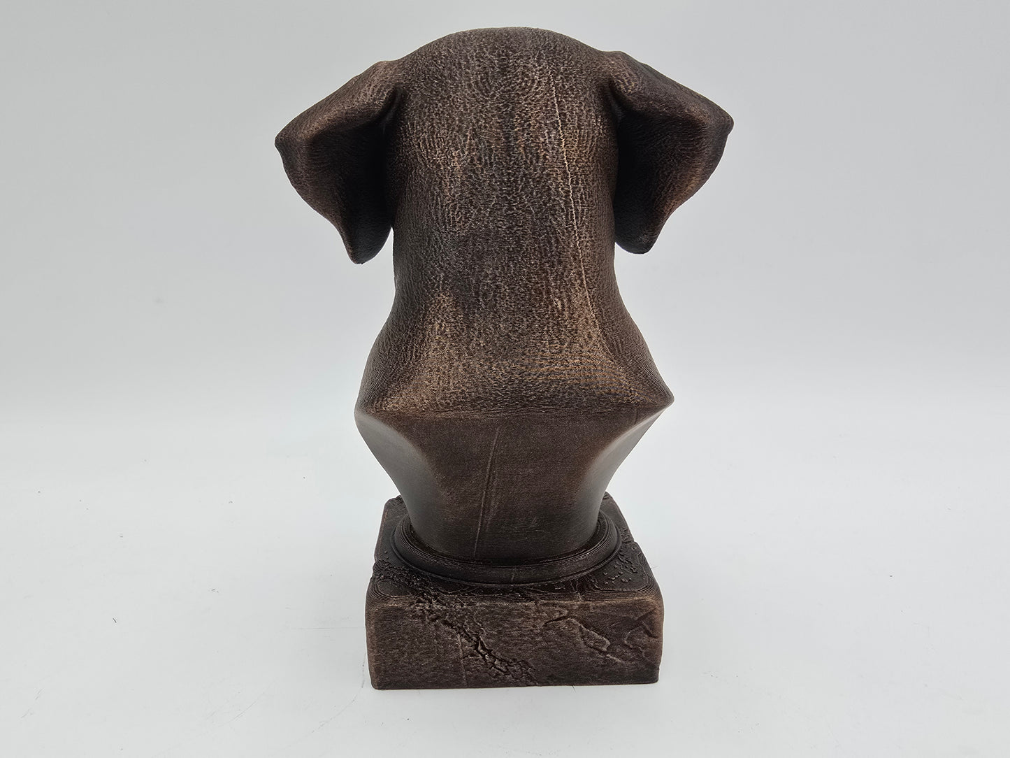 Dalmation Bust