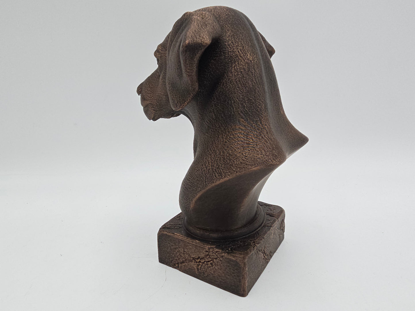 Dalmation Bust