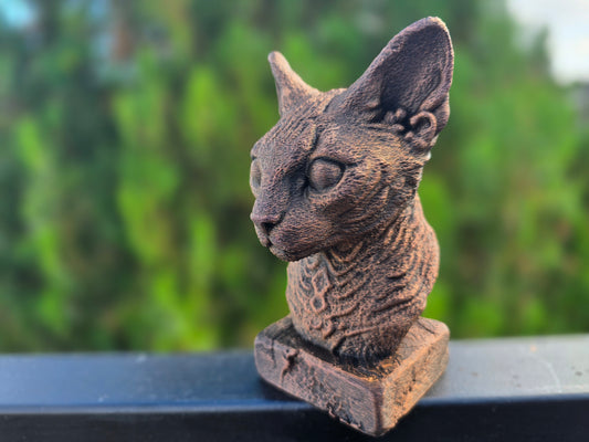 Devon Rex Bust