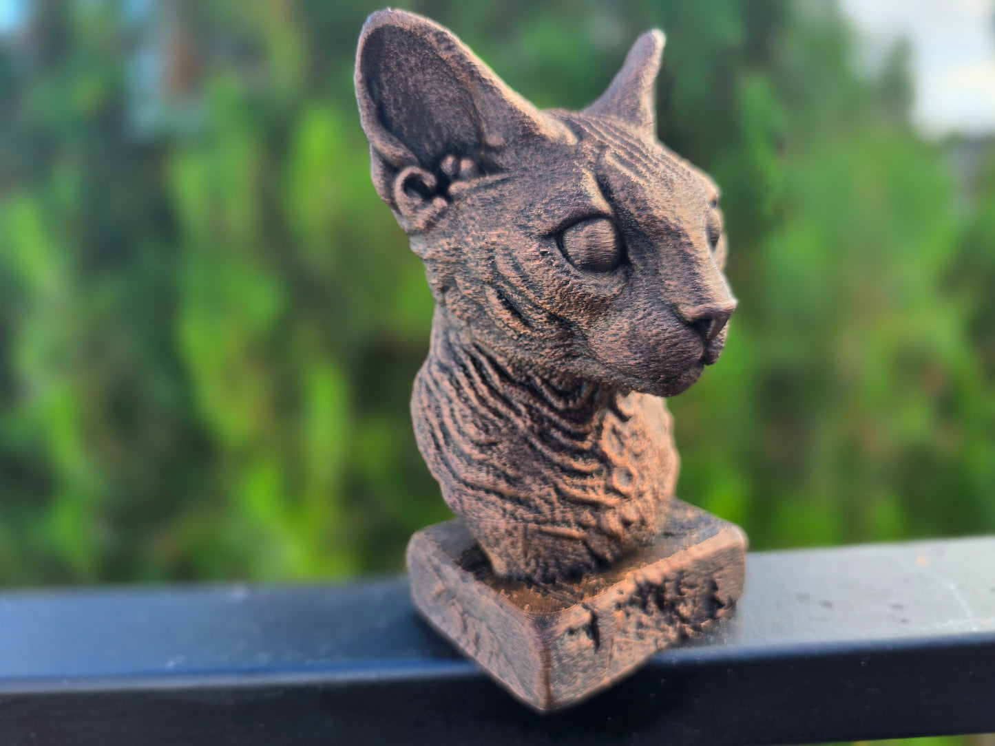 Devon Rex Bust