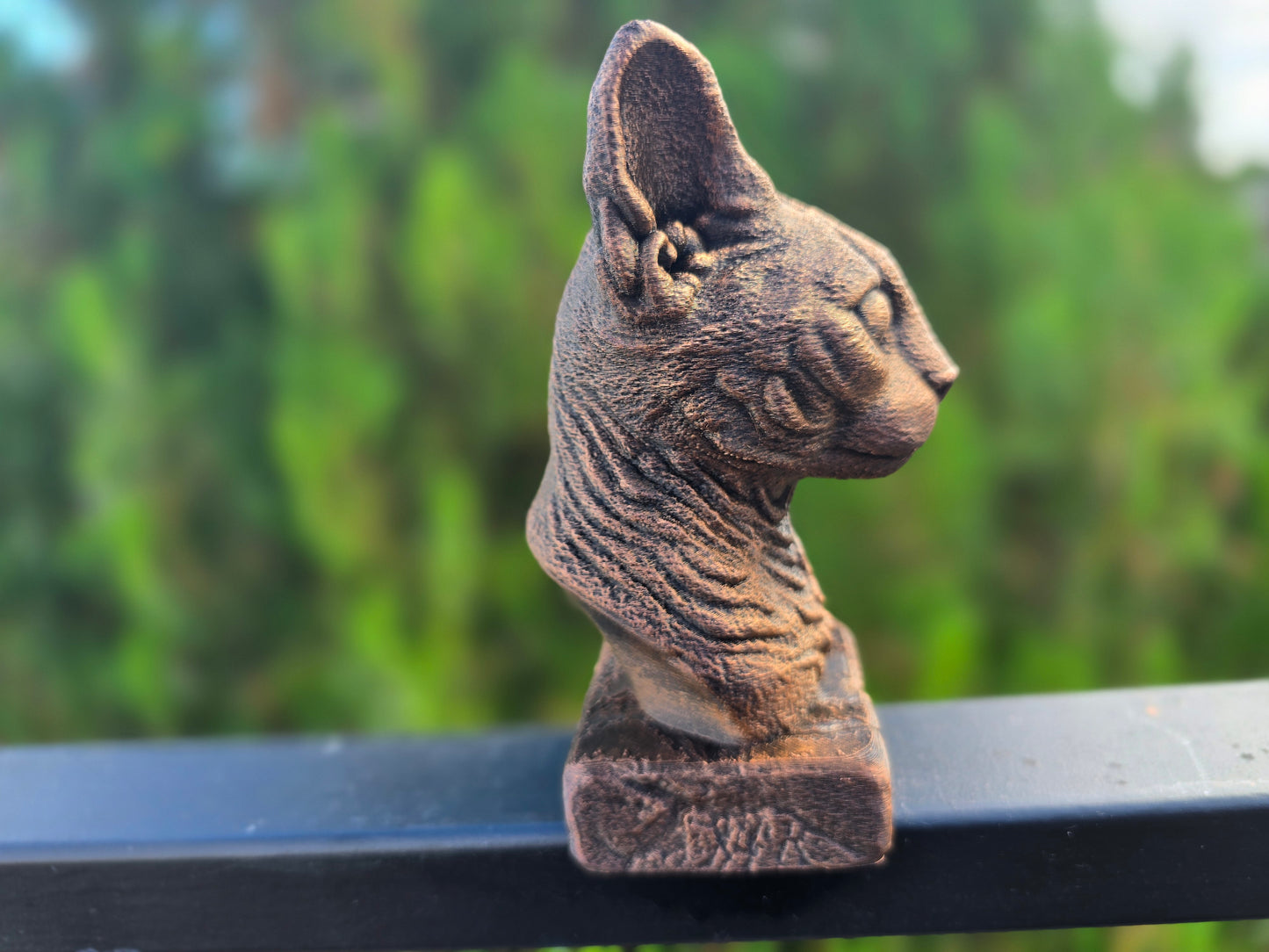 Devon Rex Bust