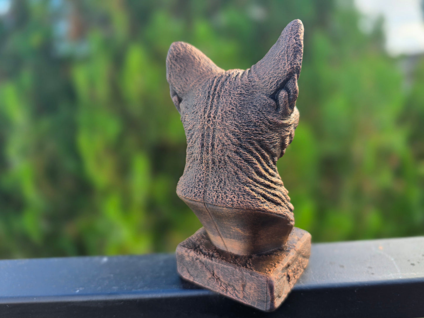 Devon Rex Bust