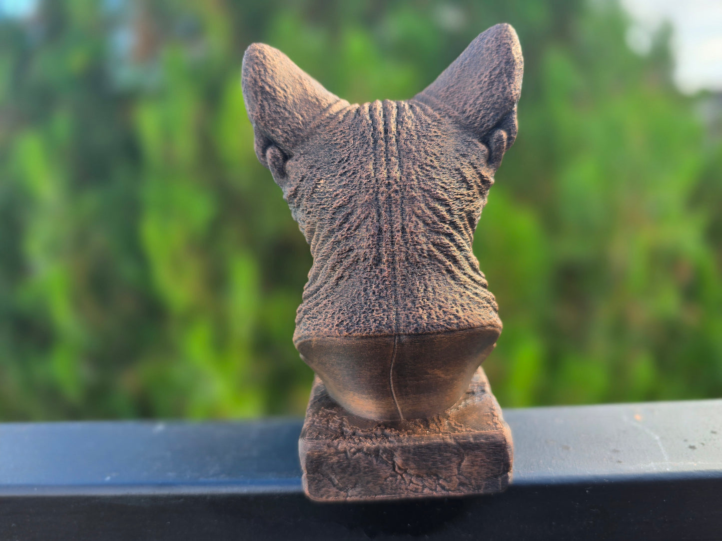 Devon Rex Bust