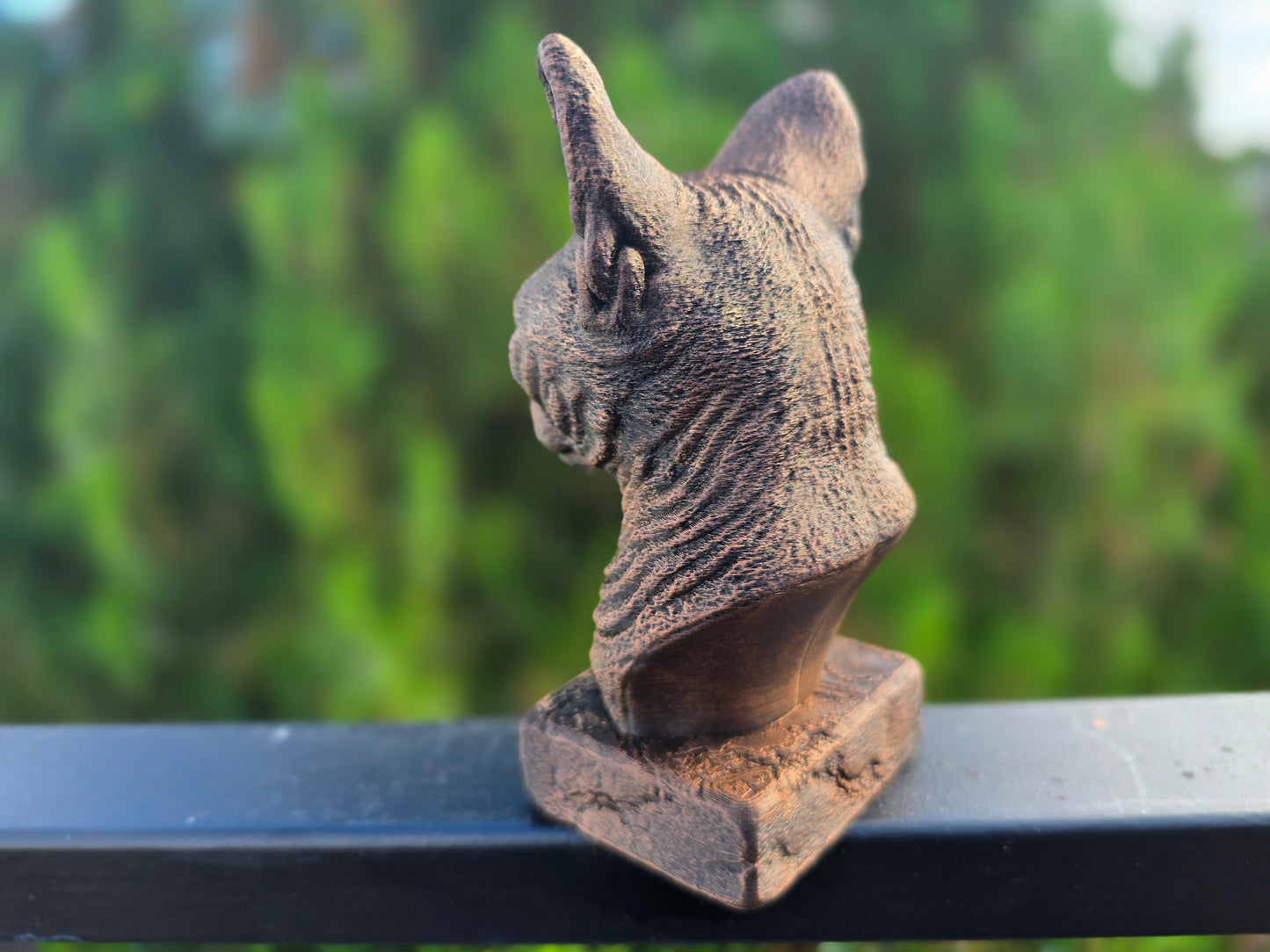 Devon Rex Bust
