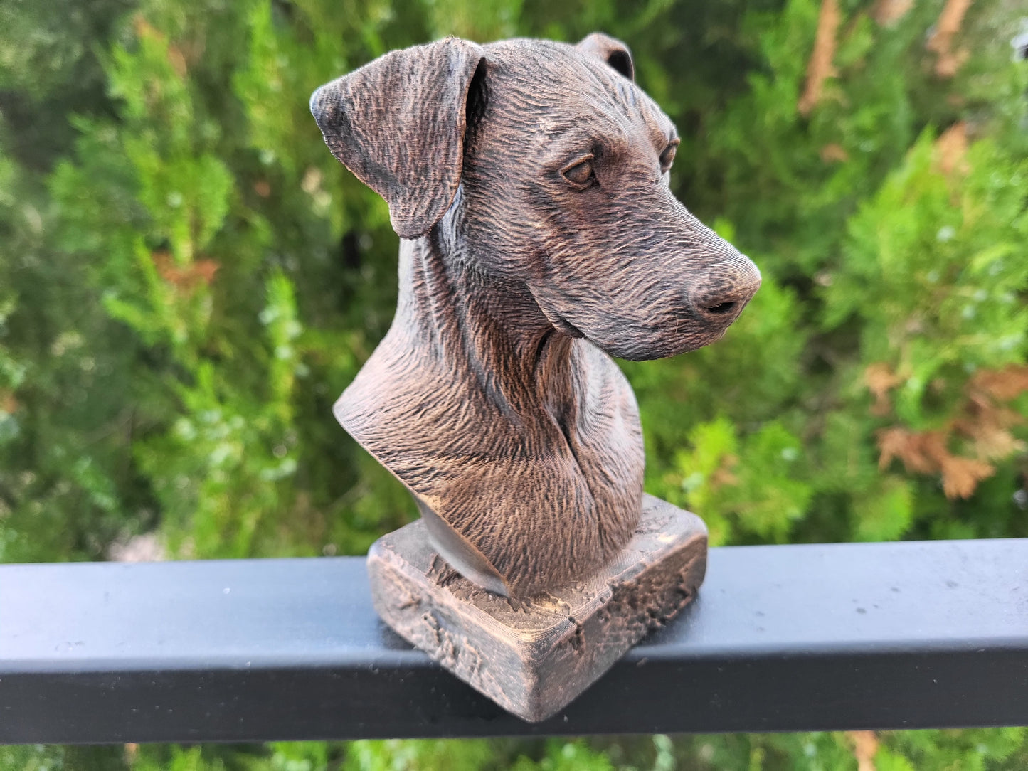 Doberman Bust