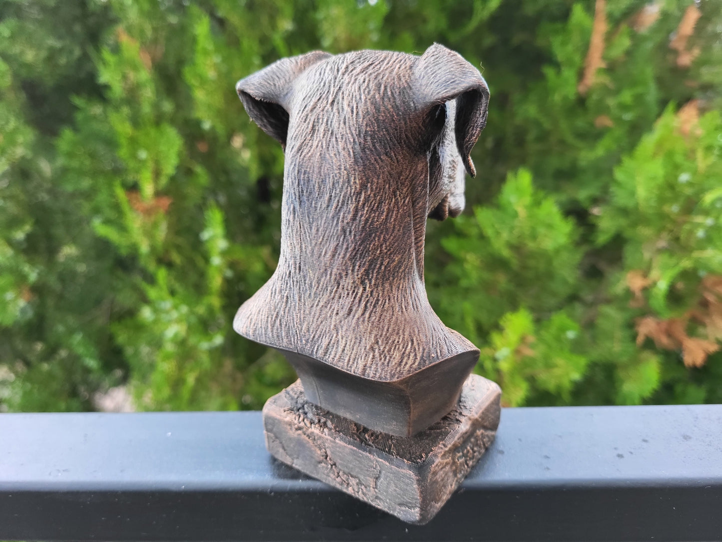 Doberman Bust