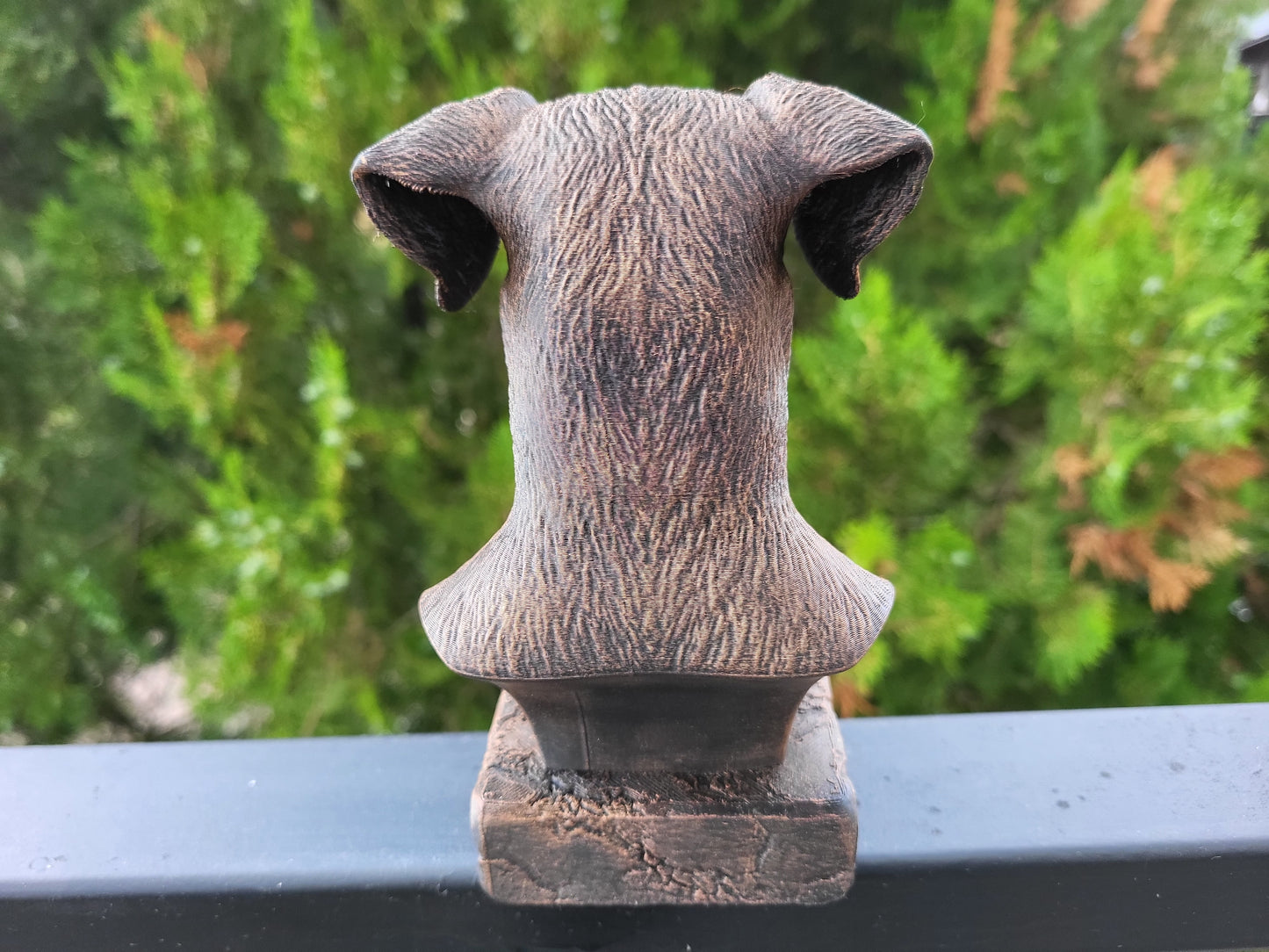 Doberman Bust