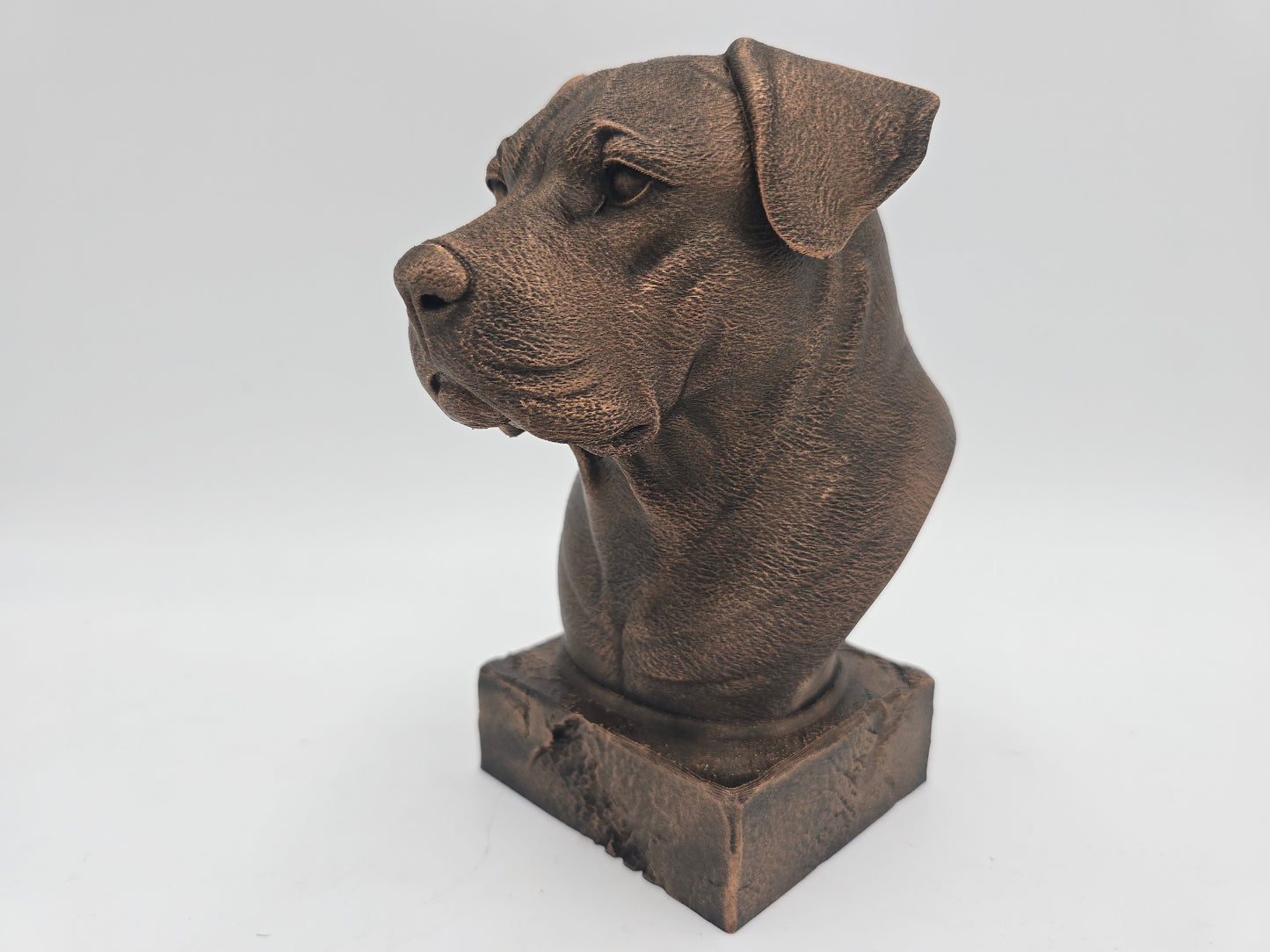 Dogo Argento Bust