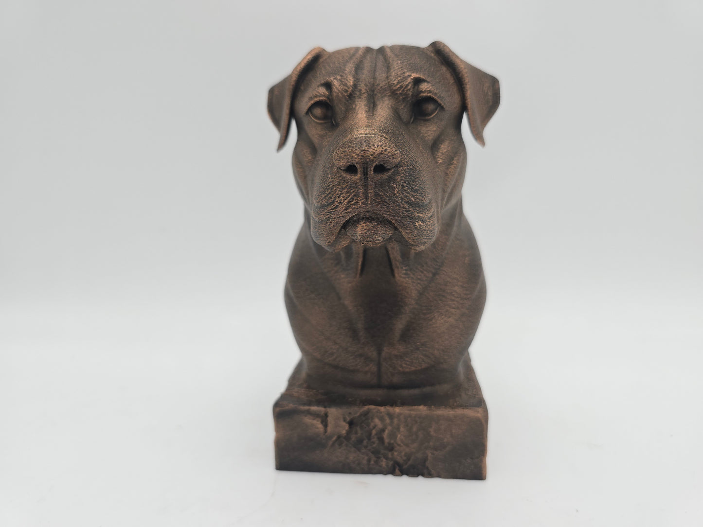 Dogo Argento Bust