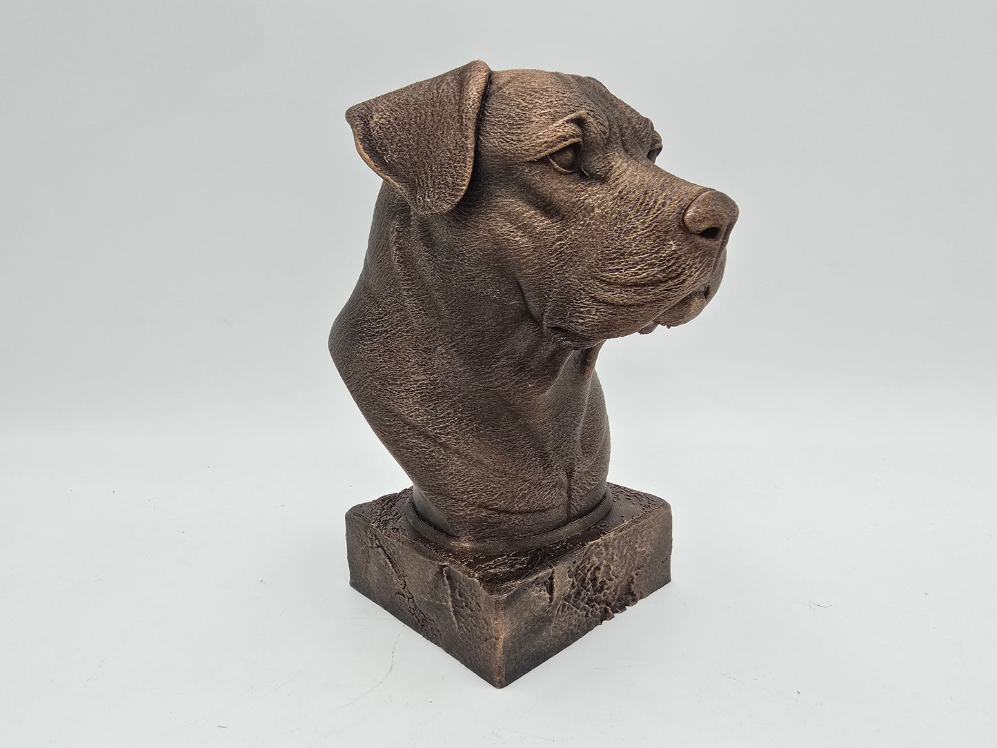 Dogo Argento Bust