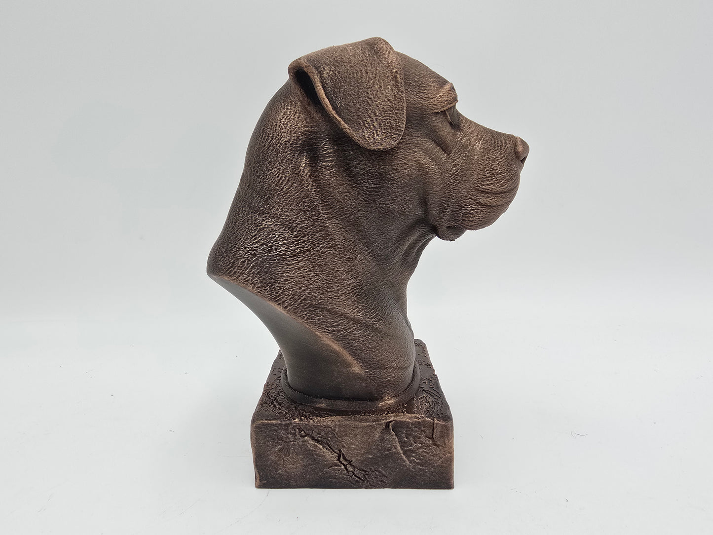 Dogo Argento Bust