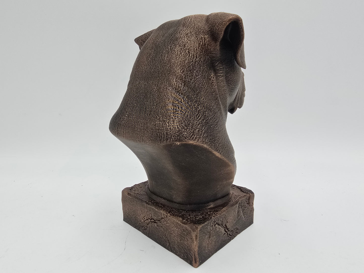 Dogo Argento Bust