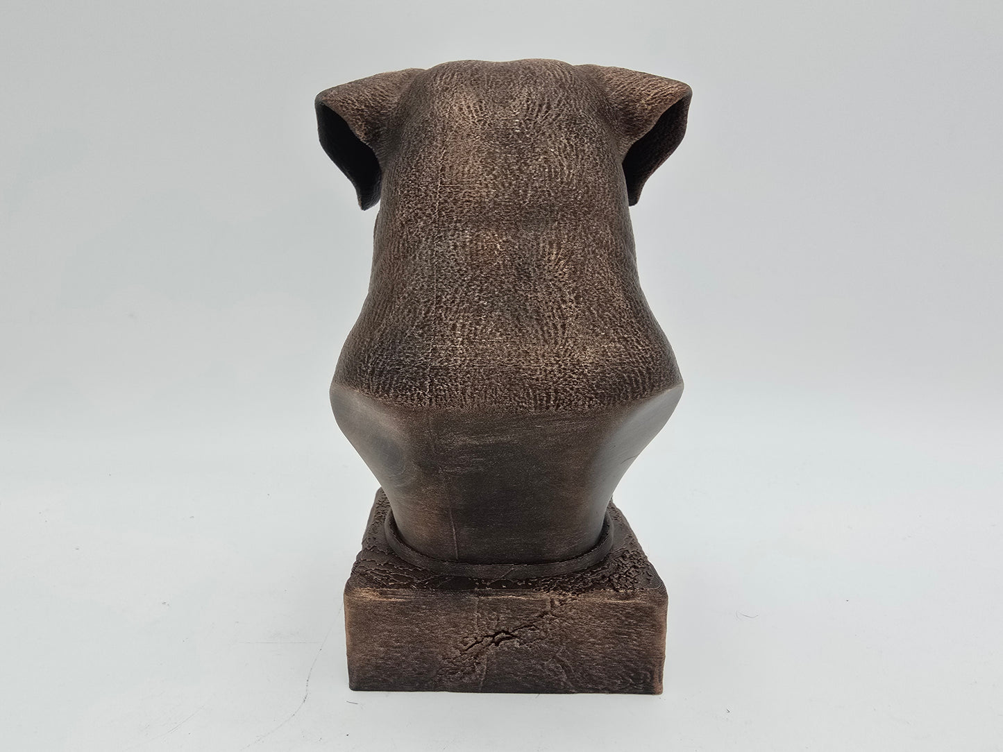 Dogo Argento Bust