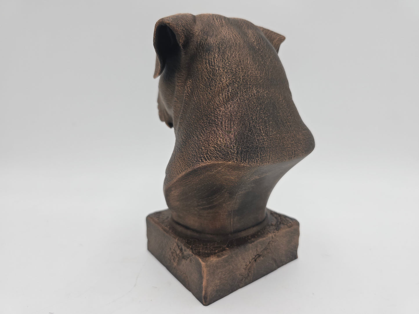 Dogo Argento Bust