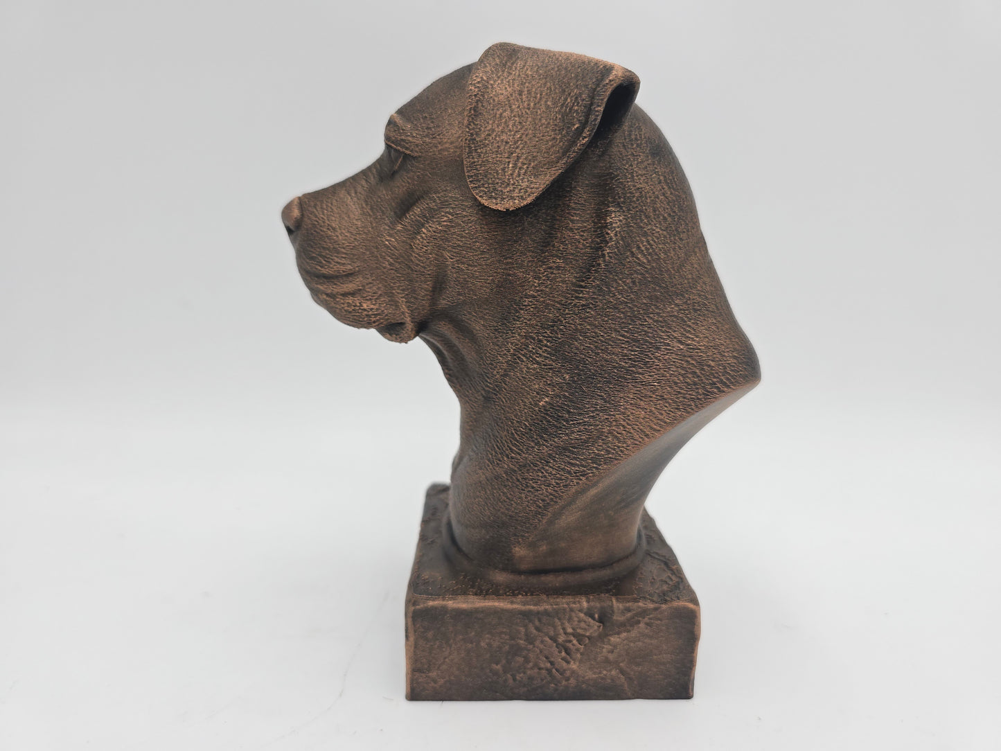 Dogo Argento Bust