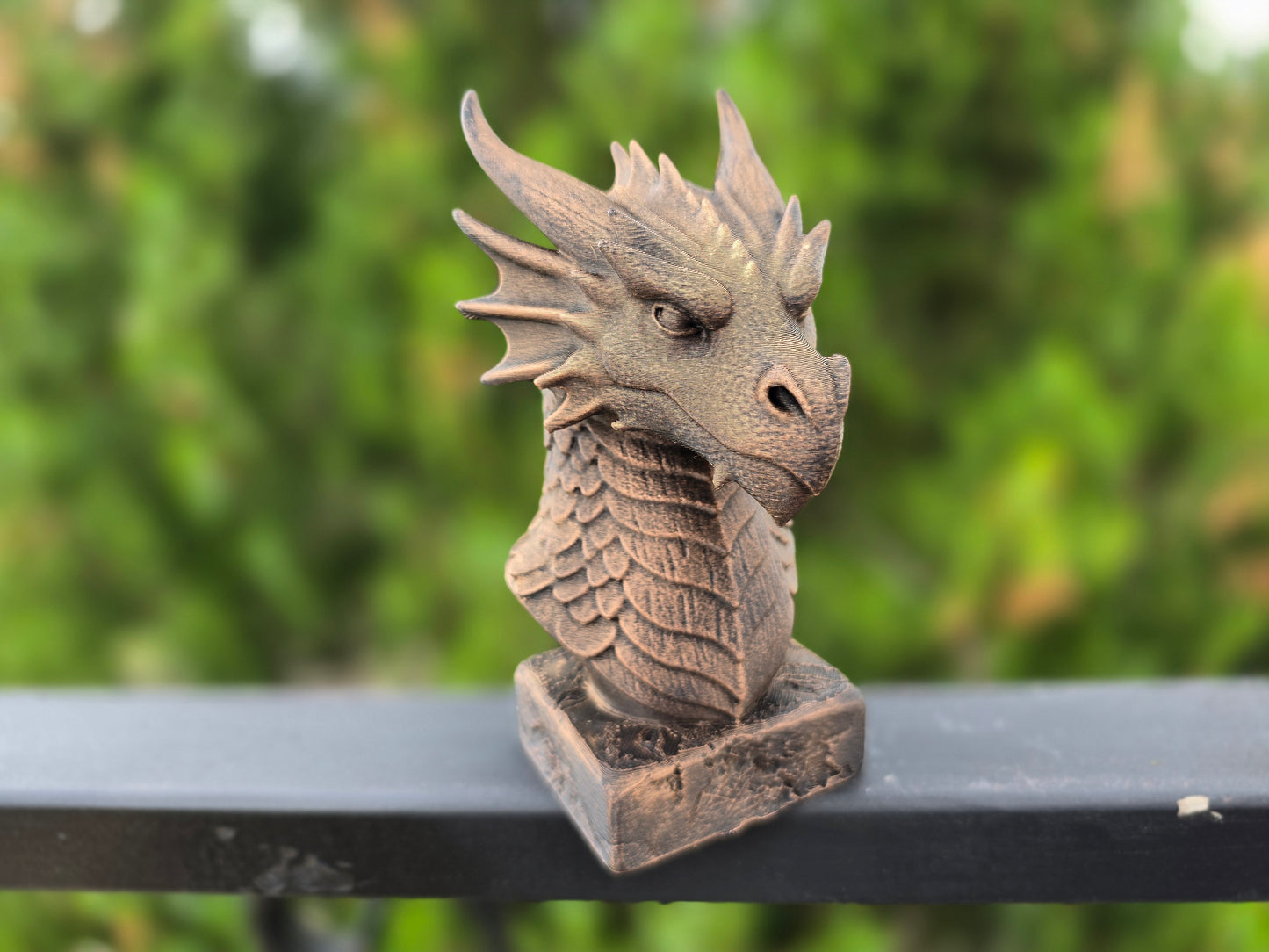 Dragon Bust