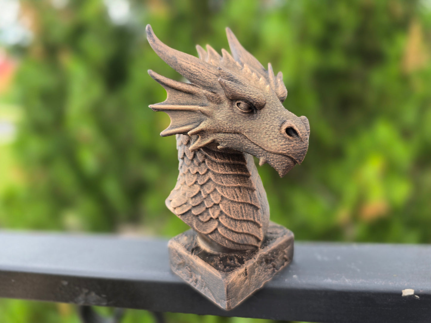 Dragon Bust