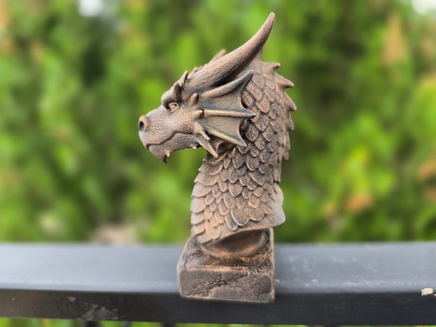 Dragon Bust