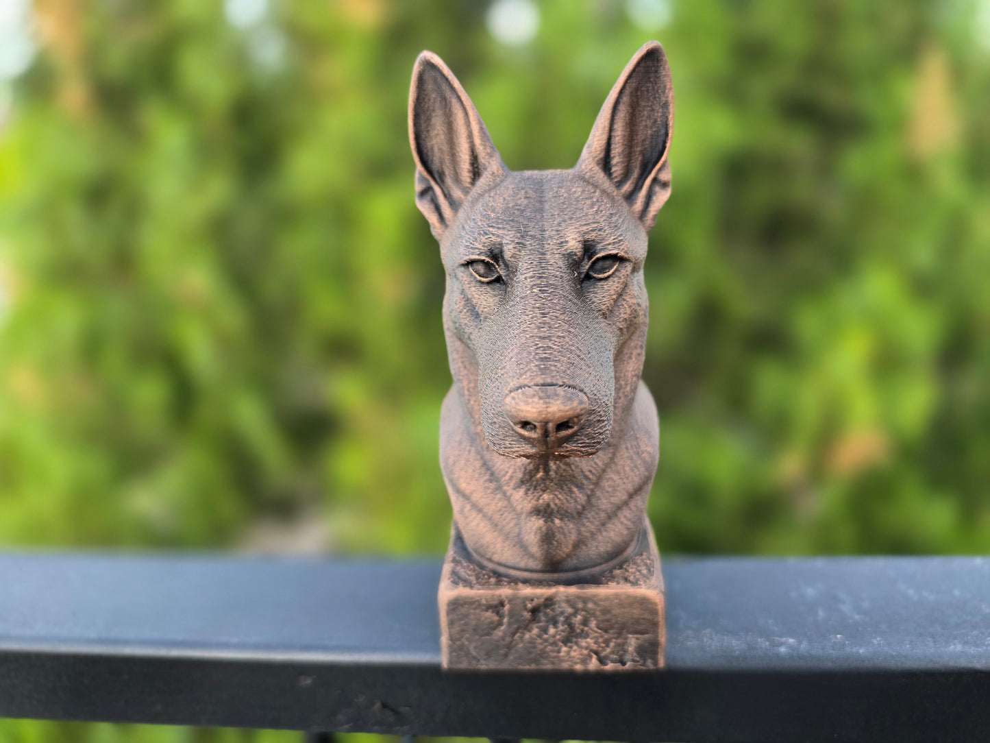 Dutch Shepherd Bust