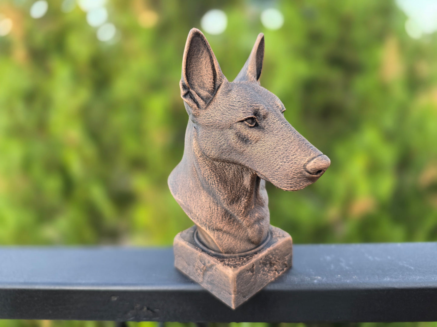 Dutch Shepherd Bust
