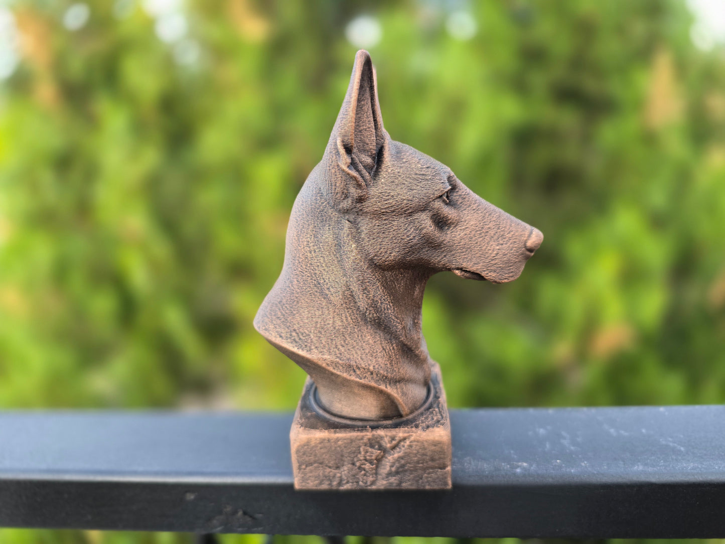 Dutch Shepherd Bust