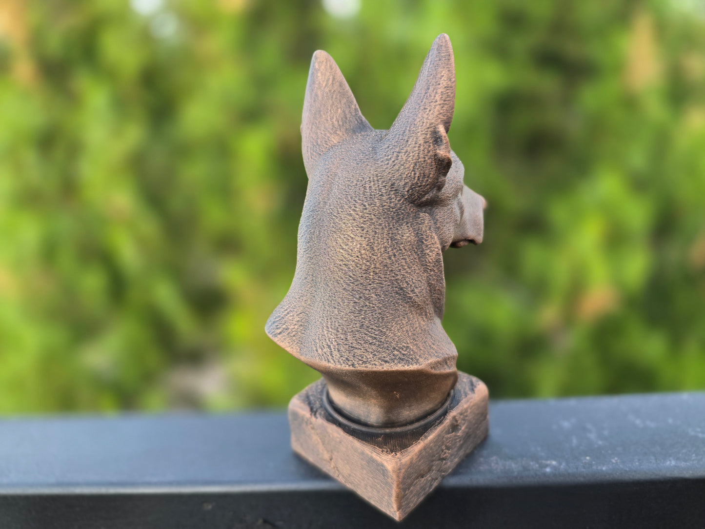 Dutch Shepherd Bust