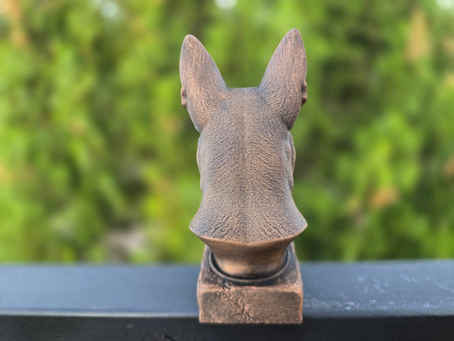 Dutch Shepherd Bust