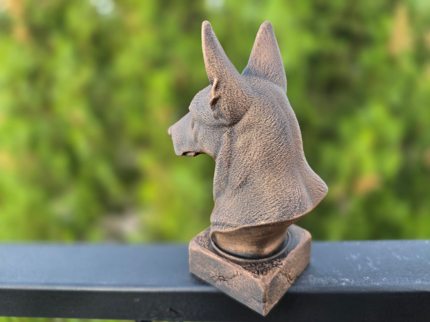 Dutch Shepherd Bust