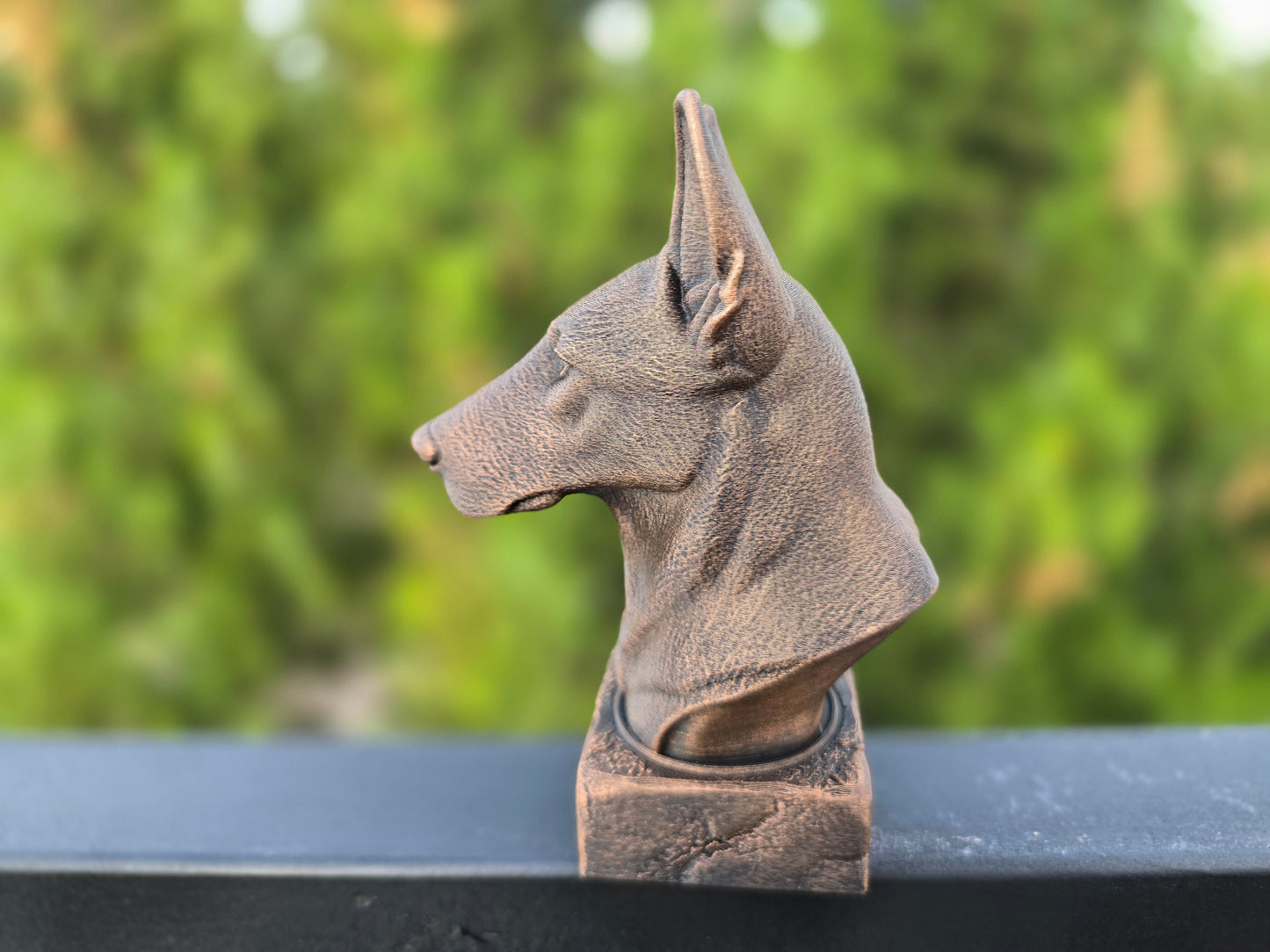 Dutch Shepherd Bust