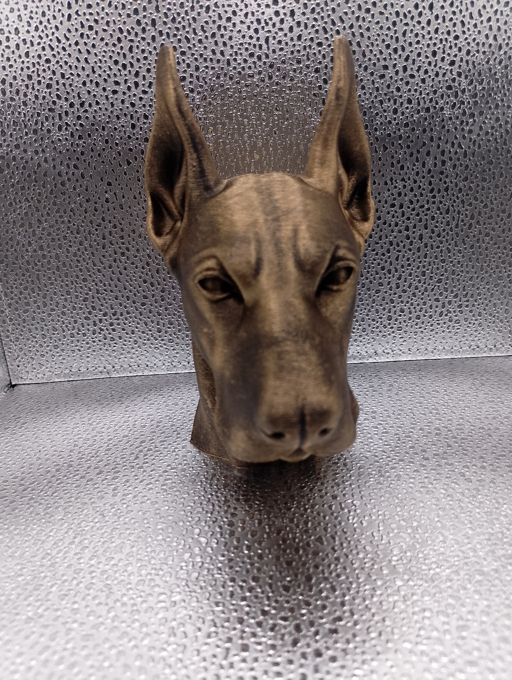 Doberman Bust