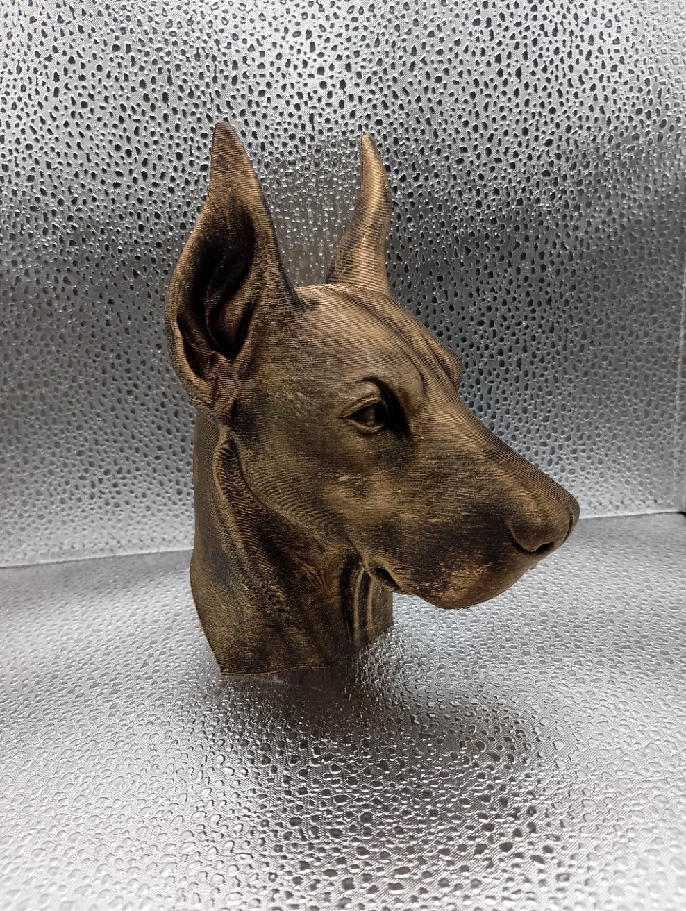 Doberman Bust