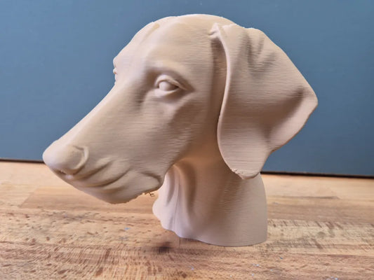 Doberman Bust