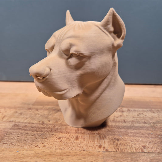 Dogo Argentino Bust