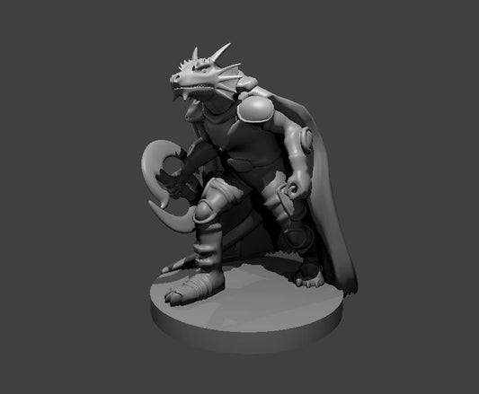 Dungeons & Dragons Dragonborn Chakram Fighter Miniature