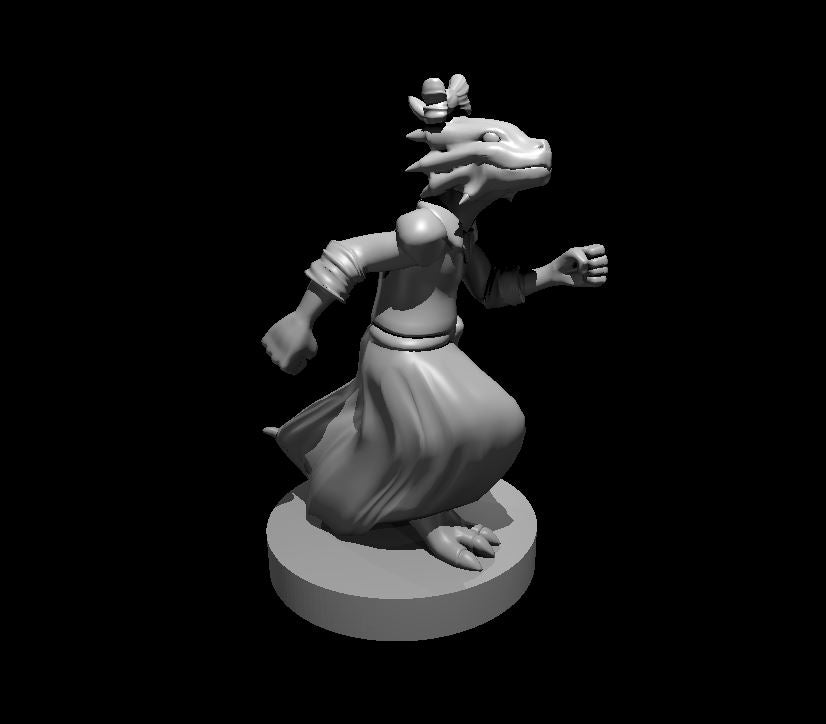 Dungeons & Dragons Dragonborn Female Child Miniature