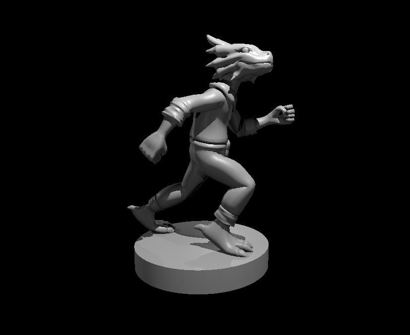 Dungeons & Dragons Dragonborn Male Child Miniature