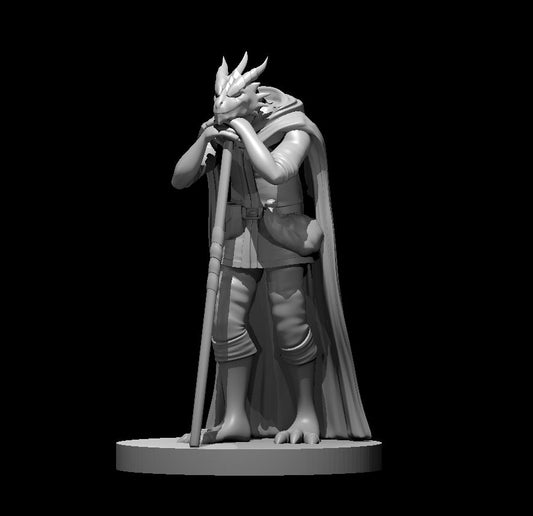 Dungeons & Dragons Dragonborn Druid Leaning on Staff Miniature