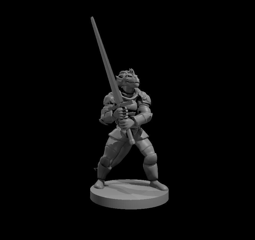 Dungeons & Dragons Dragonborn Great Weapon Fighter Miniature