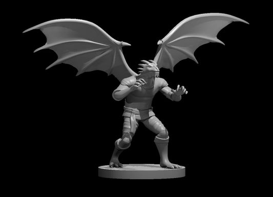 Dungeons & Dragons Dragonborn Male Monk with wings Miniature