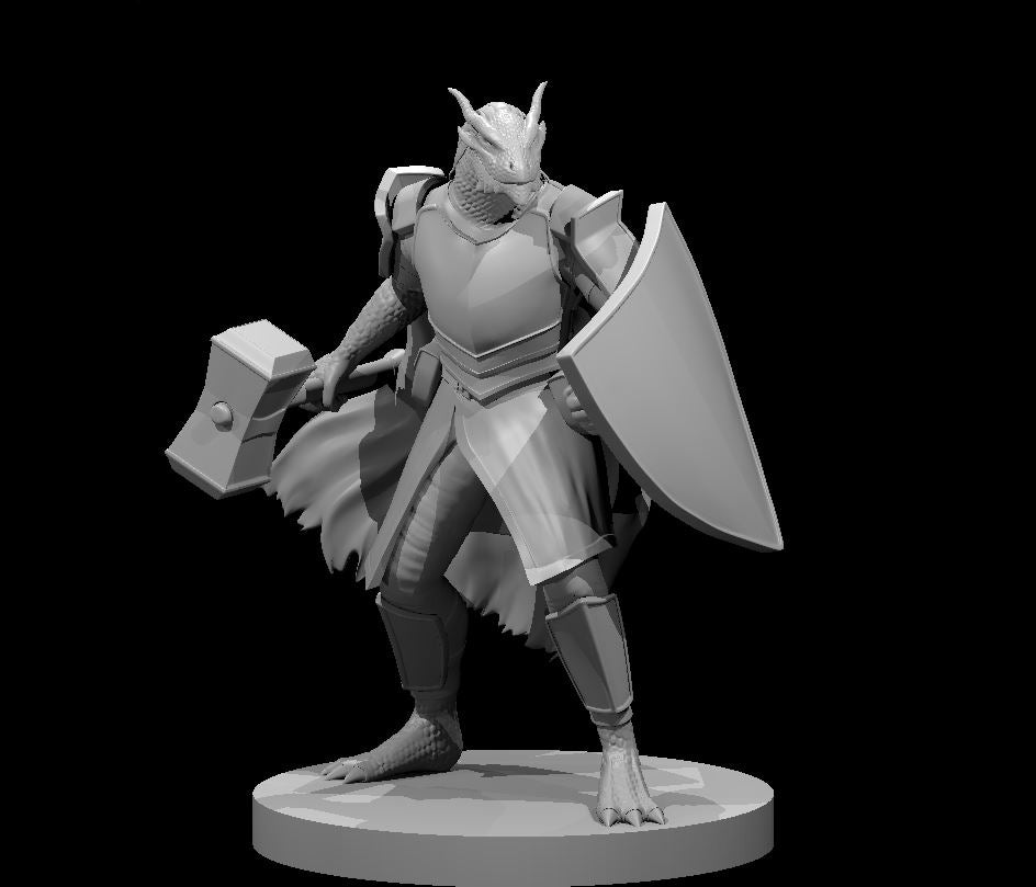 Dungeons & Dragons Dragonborn Paladin with Warhammer and Shield Miniature