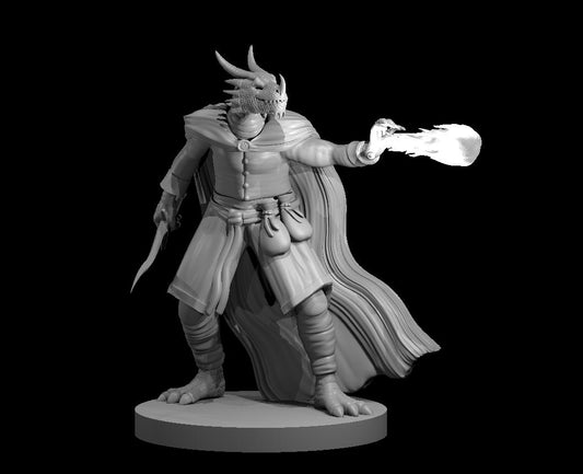 Dungeons & Dragons Dragonborn Sorcerer Miniature