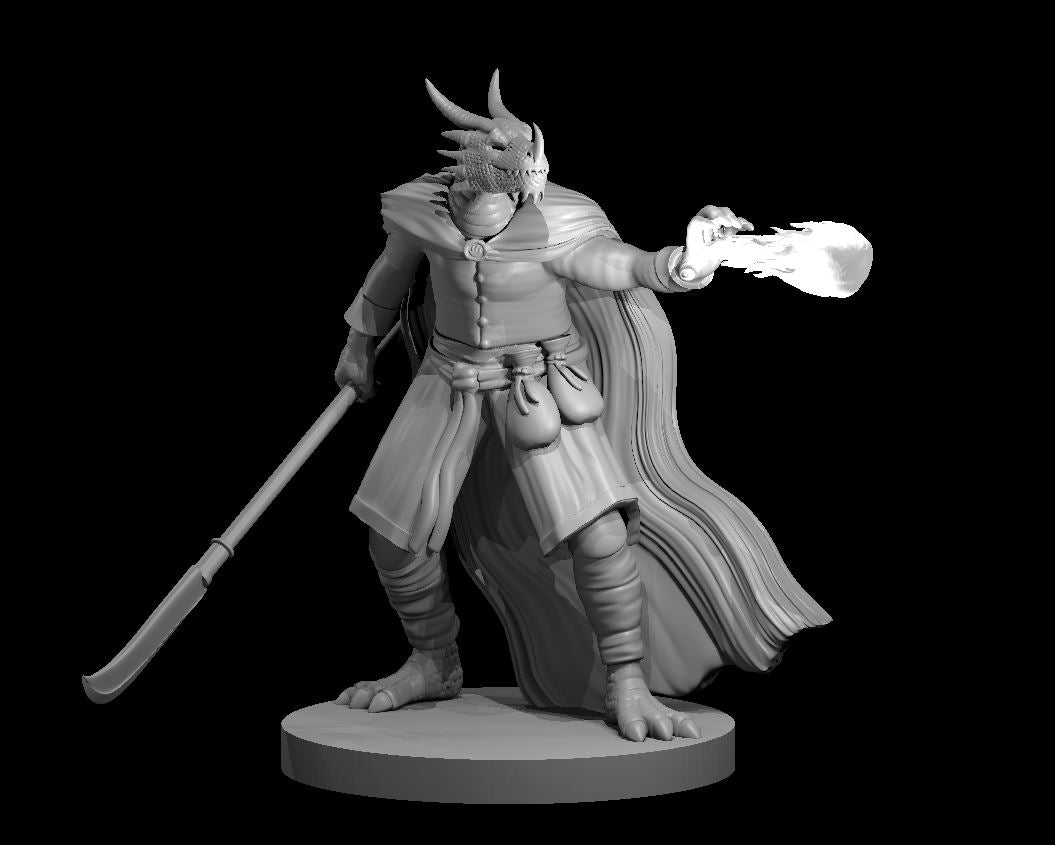 Dungeons & Dragons Dragonborn Sorcerer Miniature