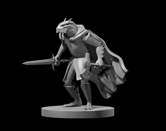 Dungeons & Dragons Dragonborn Two Weapon Fighter Miniature