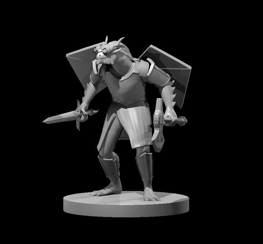 Dungeons & Dragons Dragonborn Two Weapon Fighter with Kite Wings Miniature