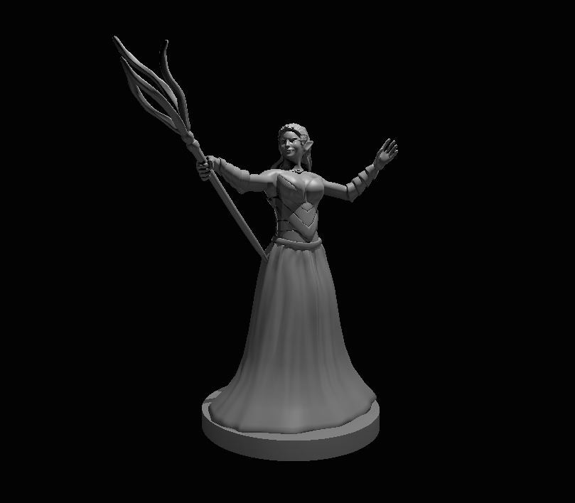 Dungeons & Dragons Drow Priestess Miniature