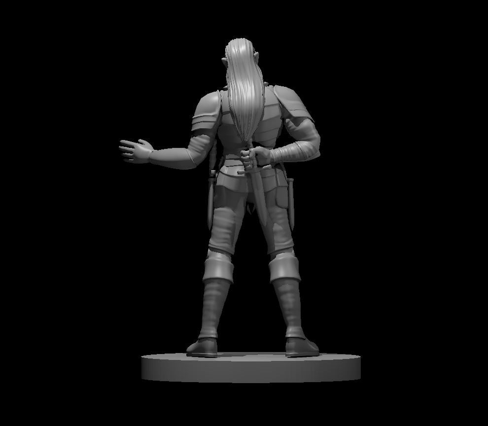 Dungeons & Dragons Drow Rogue Friendly Miniature