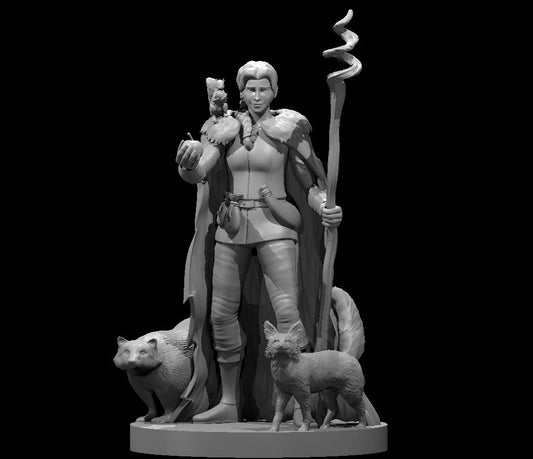 Dungeons & Dragons Druid Female Miniature