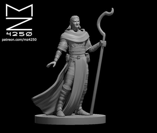 Dungeons & Dragons Male Druid Miniature