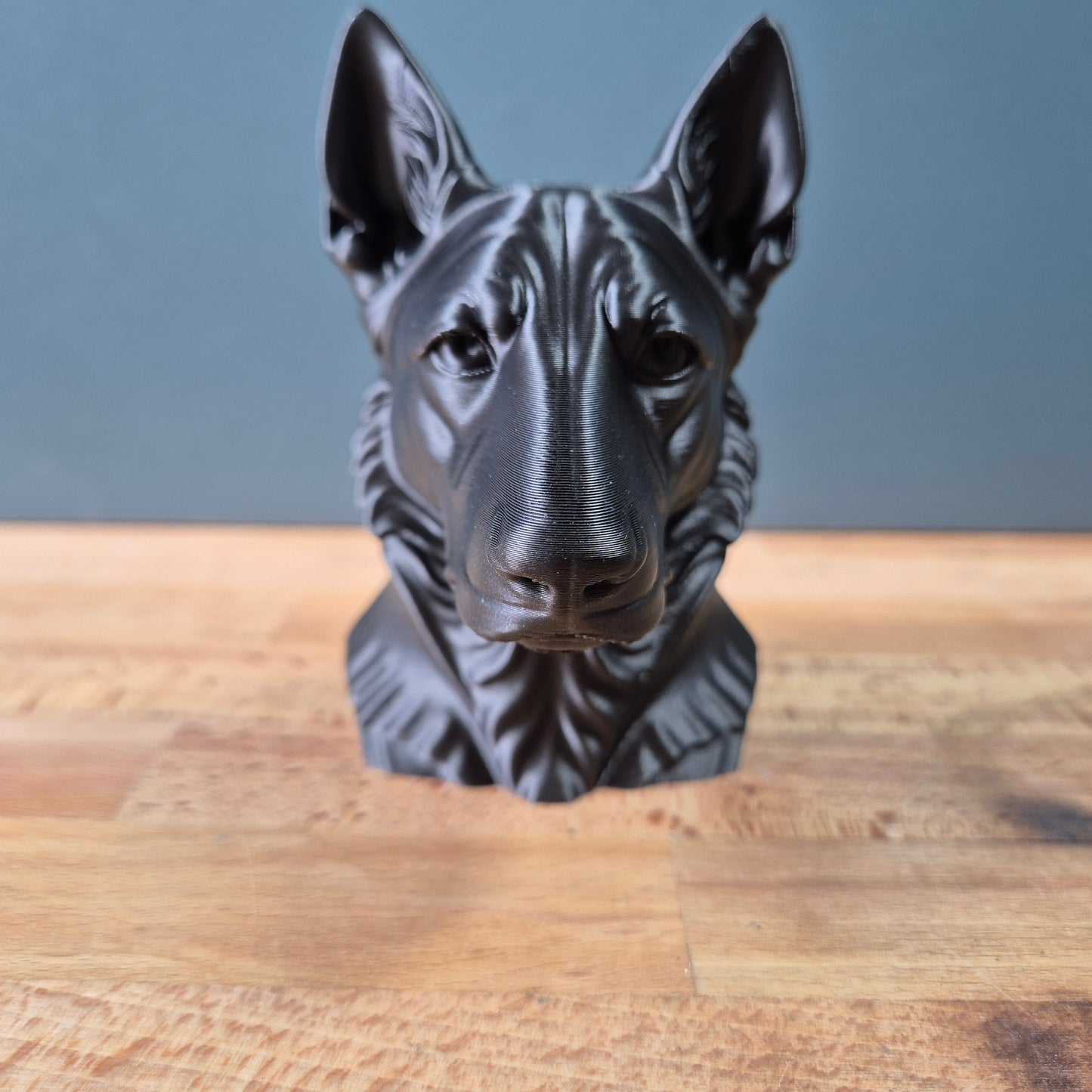 Dutch Shepherd Bust